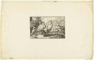 Stork mellom to andre fugler Volatilium varii generis (...) (serietittel) av Anonymous