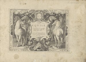 Ornamenteel cartouche met titel geflankeerd door paarden Hesten, der alle slags adelsmenn: oppførselen til hester skilt fra forskjellige deler av verden valgt (...) (serietittel på objekt) av Anonymous