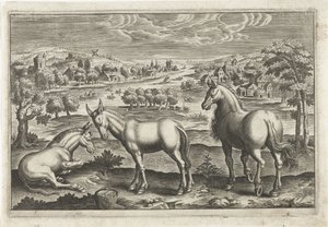 Hest og esler Firebeinte dyr (serietittel) Animalivm Qvaddrvpedvm (serietittel) av Anonymous