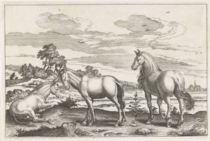 Hest og esler Firebeinte dyr (serietittel) Animalivm Qvaddrvpedvm (serietittel) av Anonymous