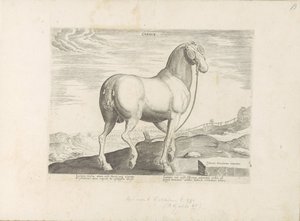 En hest fra Korsika Hjerte (tittel på objekt) Paardenrassen uit de Koninklijke stallen van Don Juan van Oostenrijk (serietittel) Hesten, der alle slags adelsmenn: oppførselen til hester skilt fra forskjellige deler av verden valgt (...) (serietittel på obj av Anonymous