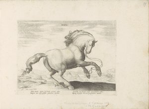 Paard uit Denemarken Danus (tittel på objekt) Paardenrassen uit de Koninklijke stallen van Don Juan van Oostenrijk (serietittel) Hesten, der hver rase er edel: oppførselen til hester valgt fra forskjellige deler av verden (...) ( serietittel på ob av Anonymous