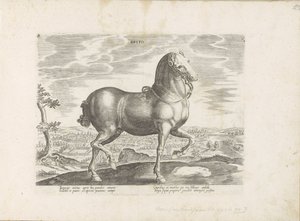Paard uit Engeland Brito (tittel på objekt) Paardenrassen uit de Koninklijke stallen van Don Juan van Oostenrijk (serietittel) Hesten, der alle slags adelsmenn: oppførselen til hester skilt fra forskjellige deler av verden valgt (...) (serietittel på obje av Anonymous