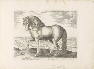 Paard uit Friesland Phryso (tittel på objekt) Paardenrassen uit de Koninklijke stallen van Don Juan van Oostenrijk (serietittel) Hesten, der alle slags adelsmenn: oppførselen til hester skilt fra forskjellige deler av verden valgt (...) (serietittel på ob av Anonymous