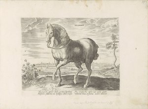 Paard uit Gelre Sicamber (tittel på objekt) Paardenrassen uit de Koninklijke stallen van Don Juan van Oostenrijk (serietittel) Hesten, der alle slags adelsmenn: oppførselen til hester skilt fra forskjellige deler av verden valgt (...) (serietittel på obje av Anonymous