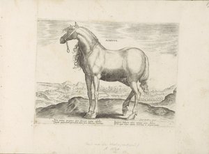 Paard fra Hellas Achivus (tittel på objekt) Paardenrassen uit de Koninklijke stallen van Don Juan van Oostenrijk (serietittel) Hesten, der alle slags adelsmenn: oppførselen til hester skilt fra ulike deler av verden valgt (...) (serietittel på av Anonymous