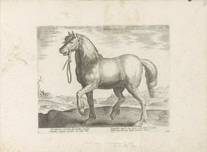 Paard uit Gulik (Juliacus) Julia (tittel på objekt) Paardenrassen uit de Koninklijke stallen van Don Juan van Oostenrijk (serietittel) Hesten, der alle slags adelsmenn: valgt fra forskjellige deler av verden kjennetegnet ved oppførselen til hester (...) (s av Anonymous