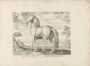 Paard uit Sardinië Sardonicus (tittel på objekt) Paardenrassen uit de Koninklijke stallen van Don Juan van Oostenrijk (serietittel) Hesten, der hver rase er edel: oppførselen til hester valgt fra forskjellige deler av verden (...) ( serietittel på av Anonymous