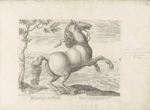 Paard uit Toscane Toscana (tittel på objekt) Hesten, der alle slags adelsmenn: oppførselen til hester skilt fra forskjellige deler av verden valgt (...) (serietittel på objekt) av Anonymous