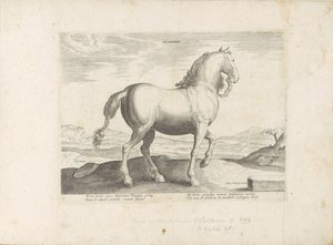 Paard uit Vlaanderen Flandern (tittel på objekt) Paardenrassen uit de Koninklijke stallen van Don Juan van Oostenrijk (serietittel) Hesten, der alle slags adelsmenn: oppførselen til hester skilt fra ulike deler av verden valgt (...) (serietittel på av Anonymous