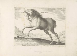 Paard van het ras Royal Horse (de Koninklijke) The Royal Horse (tittel på objekt) Paardenrassen uit de Koninklijke stallen van Don Juan van Oostenrijk (serietittel) En hest, der alle slags adelsmenn: kjennetegnet ved oppførselen til hester fra forskjellige av Anonymous