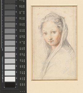 Portrett av en kvinne av Anonymous