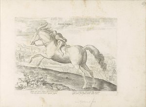 Renpaard møtte Ruiter maurisk hest (tittel på objekt) Paardenrassen uit de Koninklijke stallen van Don Juan van Oostenrijk (serietittel) Hesten, der alle slags adelsmenn: oppførselen til hester skilt fra forskjellige deler av verden valgt (...) (serietitte av Anonymous