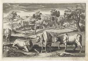 Storfe Firbeinte dyr (serietittel) Animalivm Qvaddrvpedvm (serietittel) av Anonymous