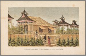 Tobakksplantasjen til de nederlandske koloniene på verdensutstillingen i Amsterdam, 1883 Tobakksplantasje i seksjonen Ned: Kolonier (tittel på objekt) Minne om Amsterdam i 1883 (serietittel på objekt) av Anonymous