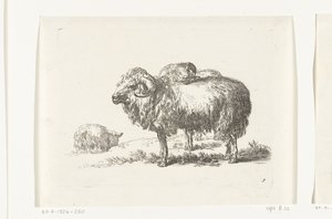 To geiter og en liggende sau Geiter og sauer til N.P. Berchem (serietittel) av Anonymous