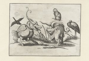 To monstre med katt, gås og stork. Groteske figurer omgitt av en rammelinje (serietittel) av Anonymous