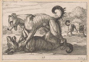 To parrings- og to kamphunder Fighting Animals (kopier) (serietittel) av Anonymous