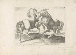 Twee vechtende paarden Hesteduell (tittel på objekt) Hesten, der alle slags adelsmenn: oppførselen til hester skilt fra forskjellige deler av verden valgt (...) (serietittel på objekt) av Anonymous