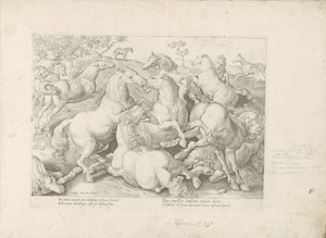 Vechtende paarden Hesten, der alle slags adelsmenn: oppførselen til hester skilt fra forskjellige deler av verden valgt (...) (serietittel på objekt) av Anonymous