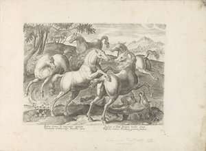 Vechtende paarden met een onder de fot gelopen paard Hesten, der alle slags adelsmenn: oppførselen til hester skilt fra forskjellige deler av verden valgt (...) (serietittel på objekt) av Anonymous