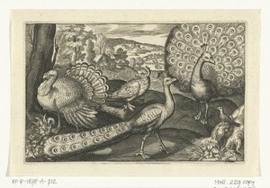 Fem fugler inkludert skjestork Fugler og insekter (serietittel) av Anonymous