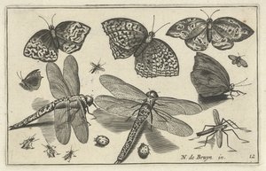 Sommerfugler og øyenstikkere Fugler og insekter (serietittel) av Anonymous