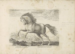 Wild paard Equus Liber et Incopositus (title on object) Equile, in quo omnis generis generosissi: morum equorum ex varijs orbis partibus insignis delectus (...) (series title on object)   1326900   no       norwegian Successfully Translated  Original: Nobl av Anonymous