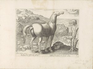 Zephyrus befrukter en glede Paardenrassen uit de Koninklijke stallen van Don Juan van Oostenrijk (serietittel) Hesten, der alle slags adelsmenn: oppførselen til hester skilt fra forskjellige deler av verden valgt (...) (serietittel på objekt) av Anonymous