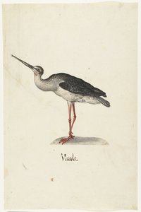 Black Rider Vecada (tittel på objekt) Lombard-album (serietittel) av Anonymous