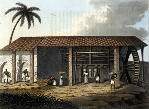 Brasil, sukkerfabrikk - i "" The Old and Modern Costume"" 1819 - 1820 av Dr. Jules Ferrario, ed Milan. av Anonymous Anonymous