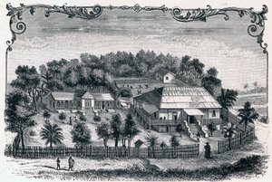 Utvendig utsikt over prestegården og skolen til Hell Ville (Hell-Ville) (Andoany), hovedstaden på øya Nosy Be på Madagaskar. Gravering i «Les Missions Catholiques au XIXeme Siecle»» av Louis-Eugene (Louis Eugene) Louvet. privat samling. av Anonymous Anonymous