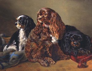 King Charles Spaniels av Anonymous Anonymous