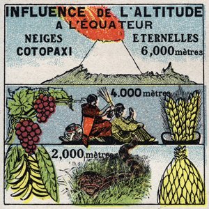 Meteorologi: påvirkning av høyde på klimaet. Anonym illustrasjon fra 1925. Privat samling. av Anonymous Anonymous