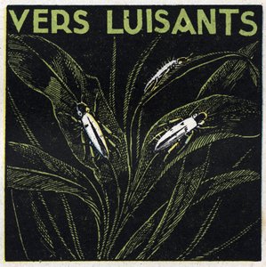 Phosphorescence: glowing greens. Anonymous illustration from 1925. Private collection. av Anonymous Anonymous