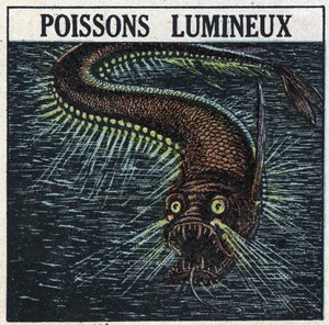 Fosforescens: lysende fisk. Anonym illustrasjon fra 1925. Privat samling. av Anonymous Anonymous