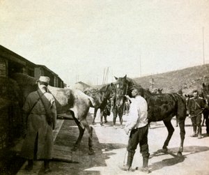 Fotografi fra et personlig album av en infanteriløytnant under de første månedene av første verdenskrig (1. Iere av Anonymous Anonymous