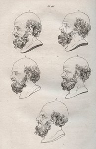 Physiognomy - Physiognomony - Several heads of the Greek philosopher Socrates (ca. 469 BC-399 BC) (Bust of Socrates (ca 469 BC-399 BC), Athenian philosopher) engraving of 1808 in “The art of knowing men through physiognomy” by Johann Gaspar (Gaspard) Lavat av Anonymous Anonymous