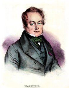 Portrett av Francois Magendie (1783-1855) lege og fysiolog, Privee Collection av Anonymous Anonymous
