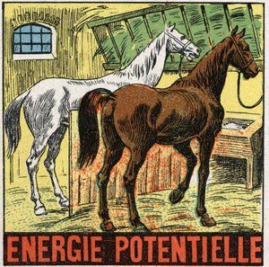Potential energy: horses resting in a stable. Anonymous illustration from 1925. Private collection. av Anonymous Anonymous