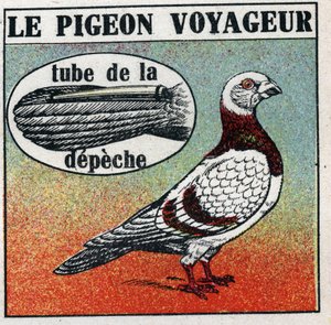 Postkontoret: Reisendeduen. Anonym illustrasjon fra 1925. Privat samling. av Anonymous Anonymous