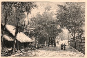 Utsikt over en gate fra Colombo i Ceylon (Sri Lanka). Gravering i "The Catholic Missions in the XIXth Century" av Louis-Eugene (Louis Eugene) Louvet. privat samling. av Anonymous Anonymous