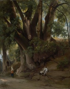 Italian Treescape (vei nær Albano) av Anselm Feuerbach