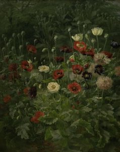Valmuer av Anthonie Christensen