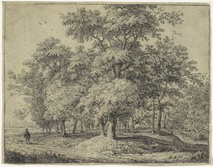 Mann med hund i en skog Forest Views, serie A (serietittel)