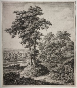 Profeten av Juda. av Anthonie Waterloo