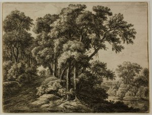 Den skogkledde stien av Anthonie Waterloo