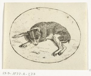 liggende hund av Anthonie van den Bos