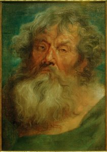 Hodet til en gammel mann av Anthony van Dyck