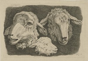 To sauehoder og et lammehode Studier av kyr, sauer og geiter (serietittel)